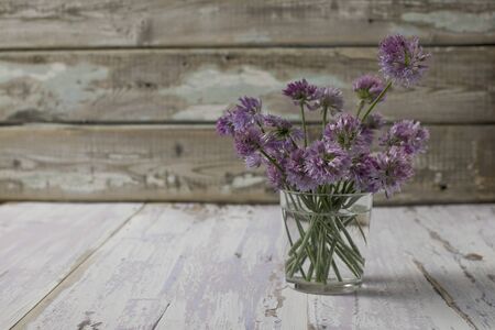 Flowering onions on a pinc rustic wooden tableの写真素材