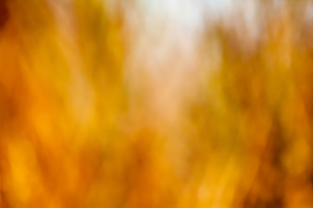 colorful for backgroundの写真素材