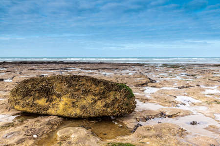 At the sea at Zuydcoote you find an big rockの写真素材