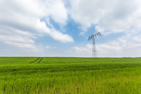 on a pasture in Germany there is a high voltage poleの写真素材
