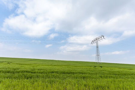 on a pasture in Germany there is a high voltage poleの写真素材