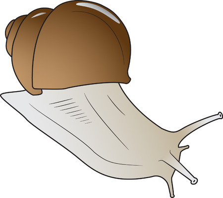 snailのイラスト素材