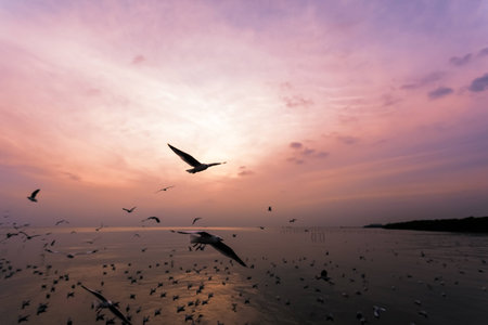 Near the water of the sea sit and fly alot seagullsの写真素材