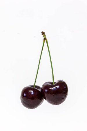 a lot of cherries whit white blackgroundの写真素材