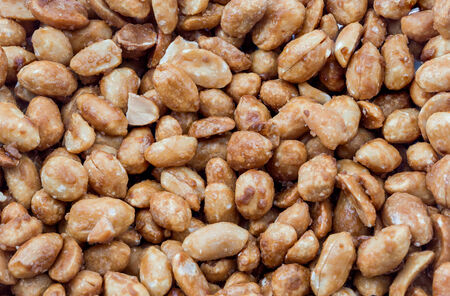 The peanut, or groundnut , is a species in the legume or bean family .の写真素材