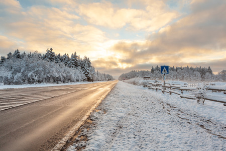 Frozen trees and snowy land road at winterの写真素材