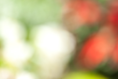 blurry flowers in the park on a sunny dayの写真素材