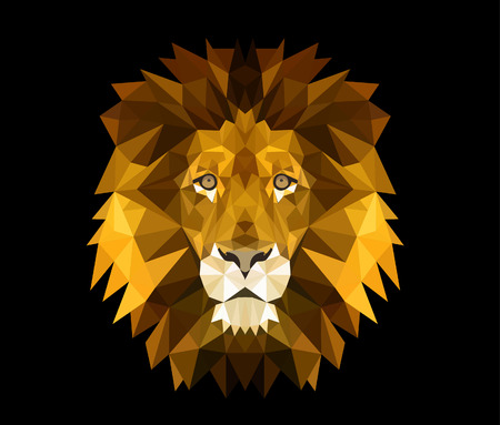 lion headのイラスト素材