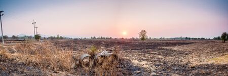 Burned fields before the next planting with  sunsetの写真素材