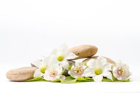 several boulders and granadilla flower in close up on an white backgroundの写真素材