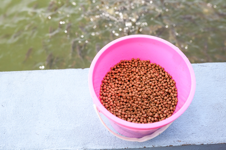 at the temple of Buddha there bucket of fish feedの写真素材