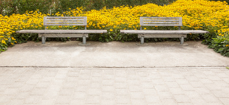 many flowers with two wooden benches in natureの写真素材