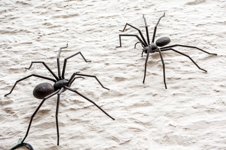 on the wall are two metal spiderの写真素材