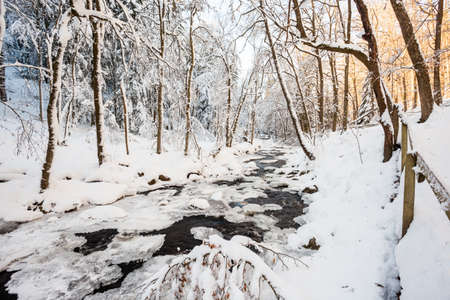 an flowing river in the valley of the forest whit an bridgeの写真素材