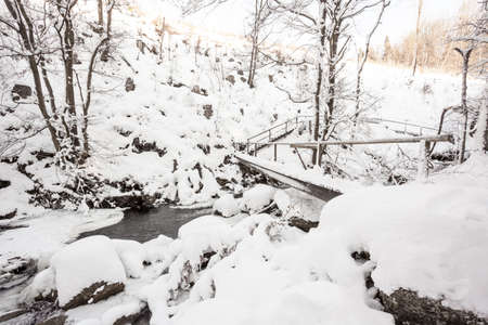 an flowing river in the valley of the forestの写真素材