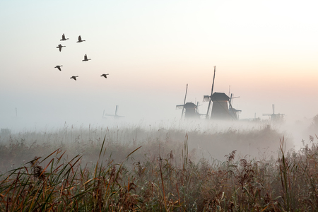 fog near the windmills in Kinderdijk in Hollandの写真素材
