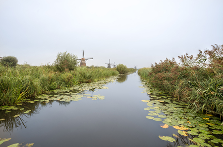 on the water there are several windmills in Kinderdijk in Hollandの写真素材