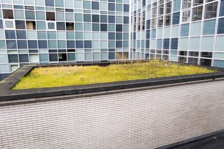 On a large building in the city, plants have been planted on the roof with a drain pipe next to it
