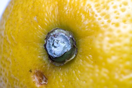 a fruit lemon in close up, made by stacking nine photosの写真素材