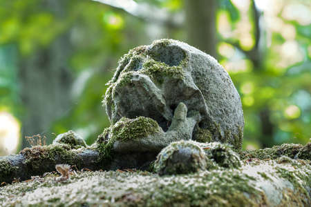 In a cemetery or cemetery, there is a skull with moss on a gravestone and an Rusty steel chain.の写真素材