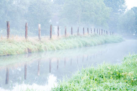 This beautiful stream flows along the footpath early in the morning with fog banksの写真素材