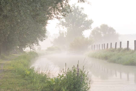 This beautiful stream flows along the footpath early in the morning with fog banksの写真素材