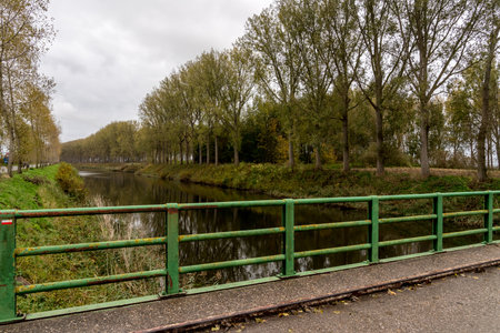 An bridge and many trees along the river on a beautiful Autumn dayの写真素材