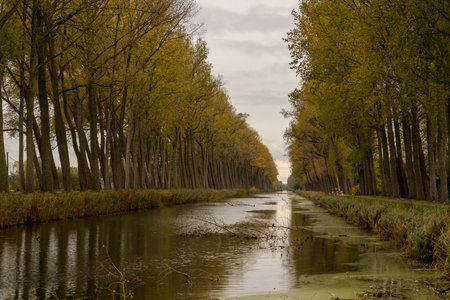 Many trees along the river on a beautiful sunny autumn dayの写真素材