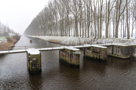 On a winter day when it is snowing, along the river with beautiful large treesの写真素材