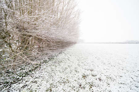 on a winter day in February, this beautiful snow landscape in natureの写真素材