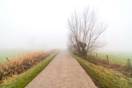 In winter there is a road along the meadows that disappears in the fogの写真素材