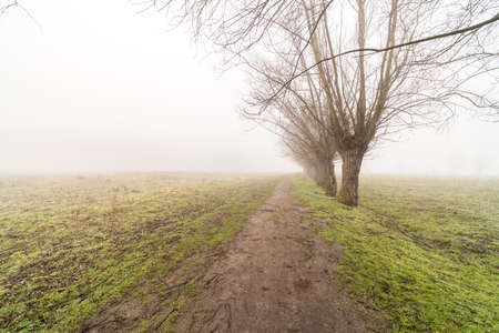 In winter there is a pedestrian path along the meadows that disappears in the fogの写真素材