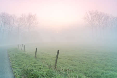 Early on a frosty morning with fog rising the beautiful sun next to some treesの写真素材