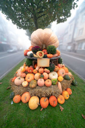 Along the street it says as decoration, Pumpkins stacked on top of each otherの写真素材