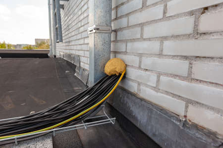 on a flat roof is this Electrical cables coming out of the wall next to a rain pipeの写真素材