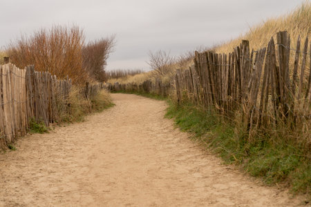 At the dunes of the beach there is this walkway to the beach by the seaの写真素材