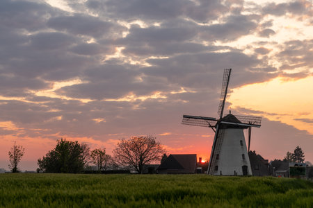 Early in the morning there is a beautiful windmill whit the sun rising in the skyの写真素材