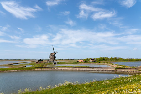 On a sunny day at the mill of the North on the island of Texel in the Netherlandsの写真素材