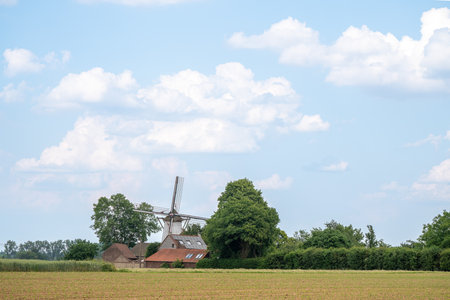 Early in the morning there is a beautiful windmill whit the sun rising in the skyの写真素材