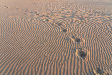 on the beach there are several tracks in the sandの写真素材
