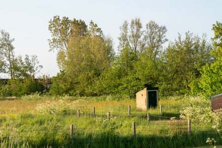 A small outdoor toilet structure situated in a grassy meadow surrounded by treesの写真素材
