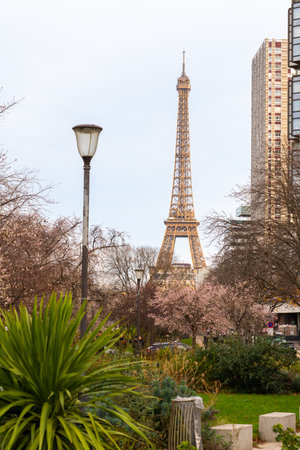 The Eiffel Tower viewed from a park with trees and landscapingの写真素材