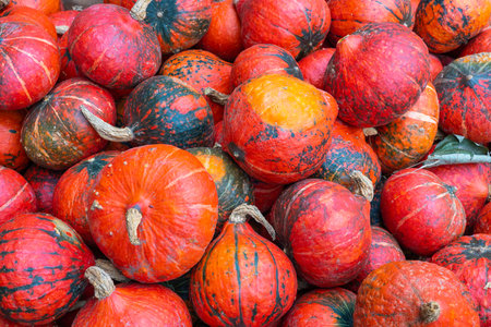 Several melons together in close-up during the autumn periodの写真素材