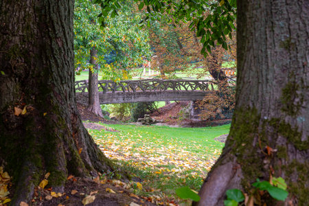 In the park there is a stone bridge with a wooden motif in the autumn period