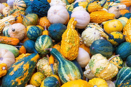 Several melons together in close-up during the autumn periodの写真素材