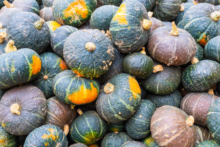Several melons together in close-up during the autumn periodの写真素材