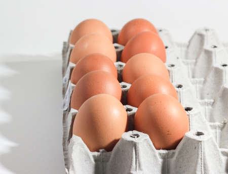 eggs on paper panel Isolated on white background