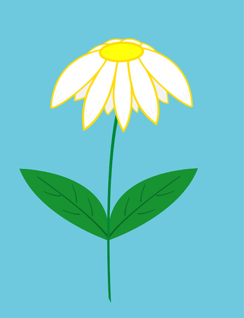 one pretty camomile on blue backgroundのイラスト素材