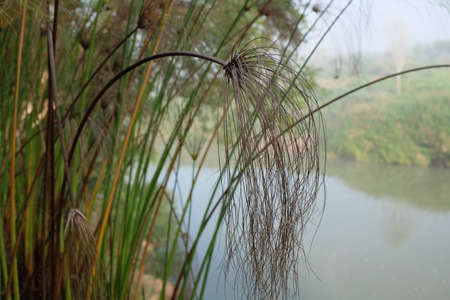 The glass on the waterfrontの写真素材