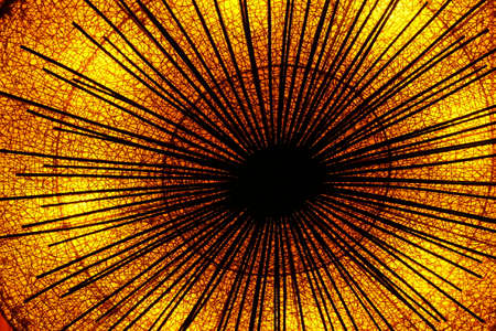 abstract background